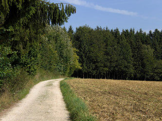 Wanderweg in Dornstadt